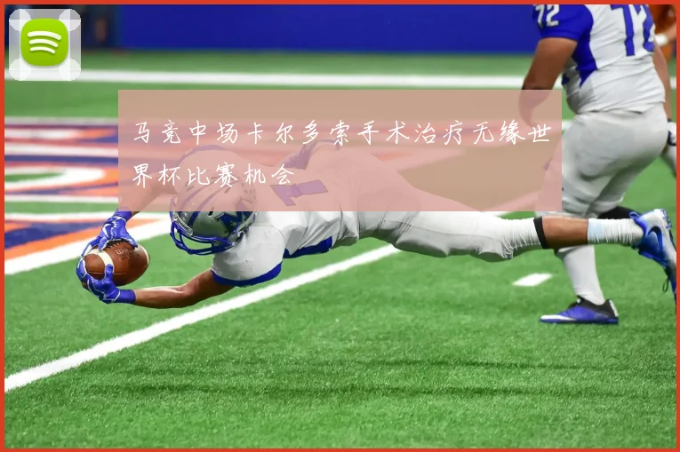 马竞中场卡尔多索手术治疗无缘世界杯比赛机会